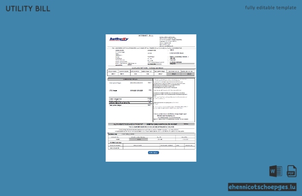 Beispielrechnungstext von India Hathway Cable and Datacom